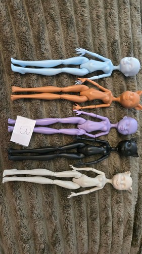 Monster high puppen - high, prepped