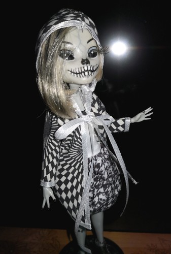 Monster high puppe - 1,