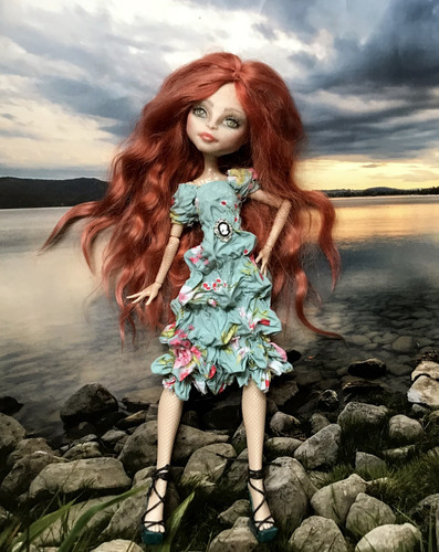 Monster high custom doll - high,