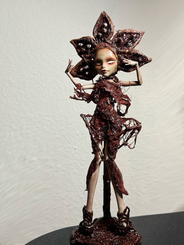 Monster high custom doll - high, –