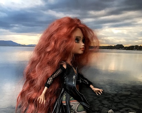 Monster high custom doll - high,