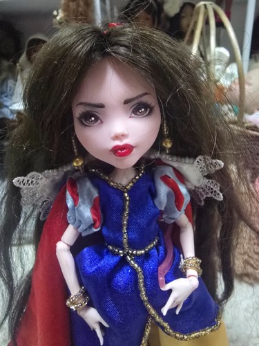 Monster high repaint - repaint, ooak